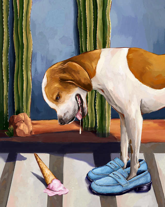 Illustrations for Inditex, 2023